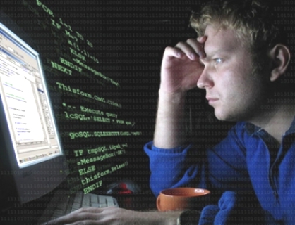 День программиста